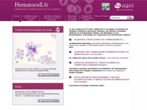 Laboratoire d'Hématologie Cellulaire du CHU d'Angers
