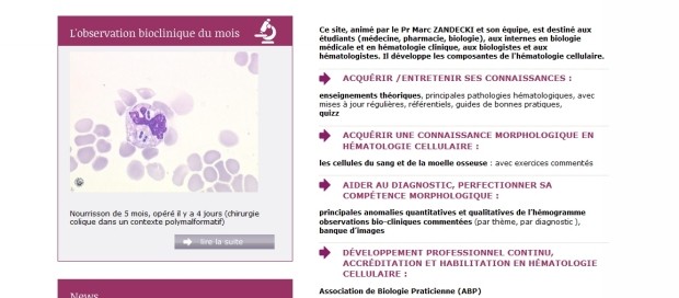 Laboratoire d'Hématologie Cellulaire du CHU d'Angers